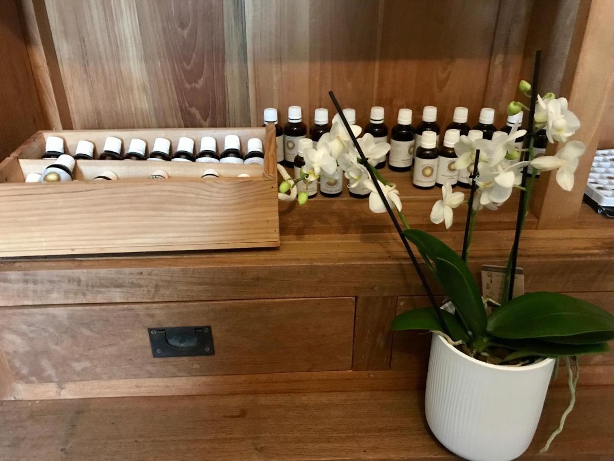 Coeur De Roses, Gite & Chambre D'Hotes Alaigne 외부 사진
